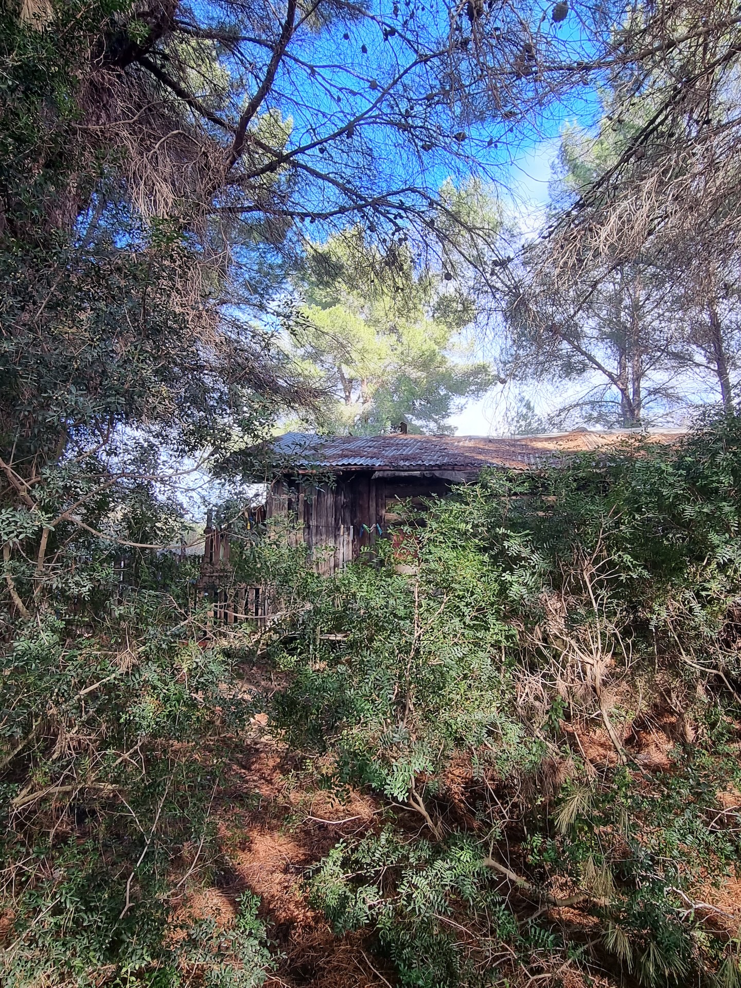 Resa Estates plots santa Gertrudis Ibiza for sale te koop 3.jpg